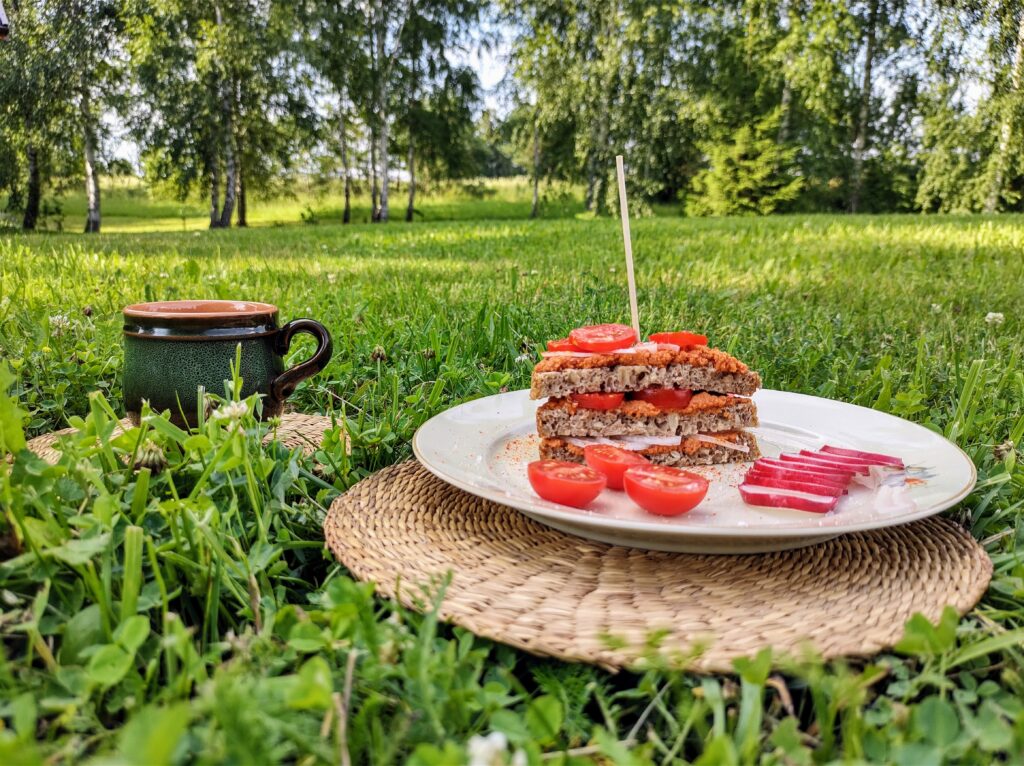 Kanapka z pastą pomidorową podana na trawie, wśród zieleni.